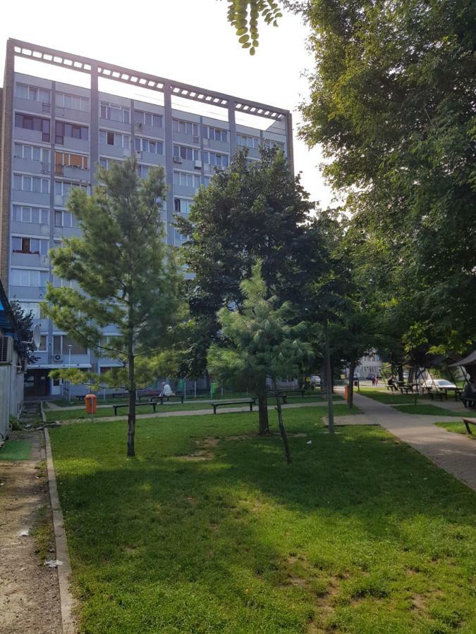 Studio Central Piatra Neamţ Exterior foto